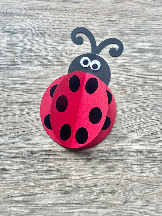 Make Your Own Lady Bug Paper Craft Kit